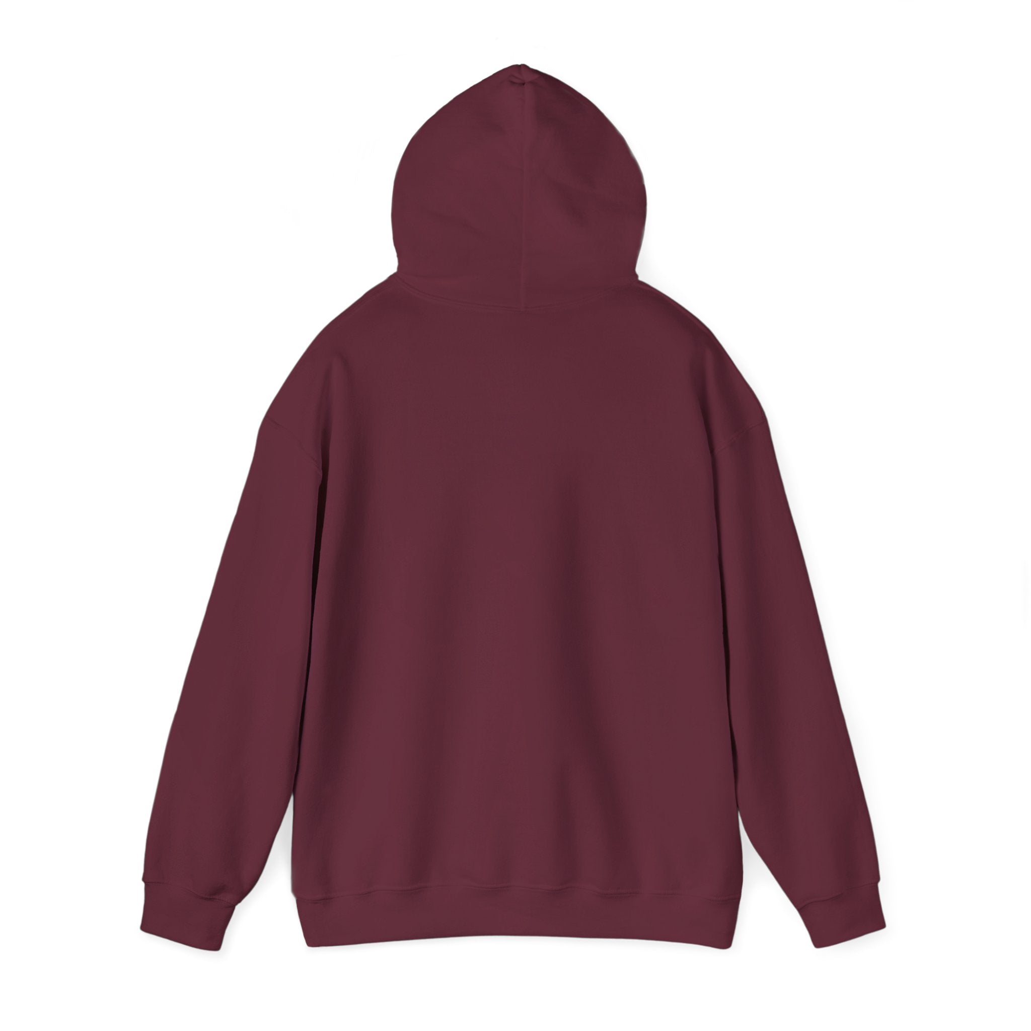 Christian Hoodie — "God Loves a Cheerful Giver" (2 Corinthians 9:7)