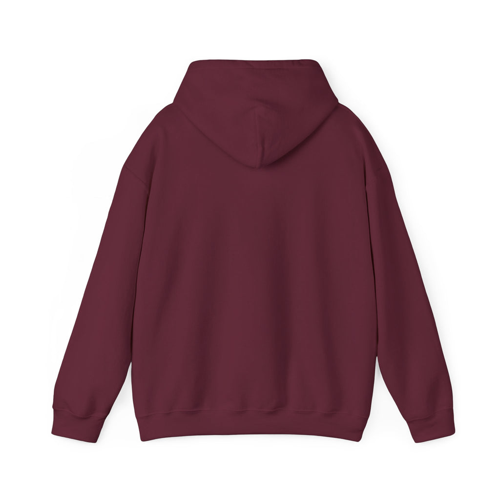 Christian Hoodie — "God Loves a Cheerful Giver" (2 Corinthians 9:7)